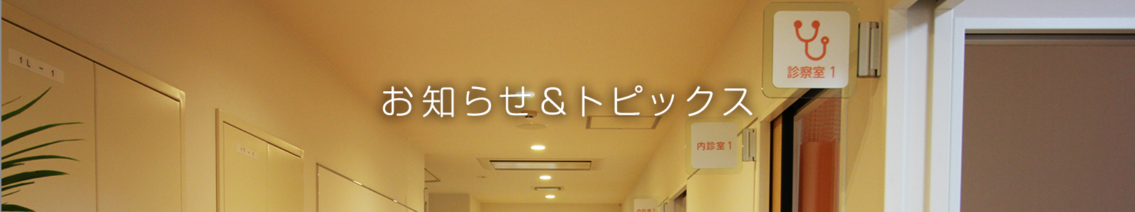 お知らせ＆トピックス
